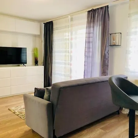 Joy Stefan Baciu 9 * Brasov