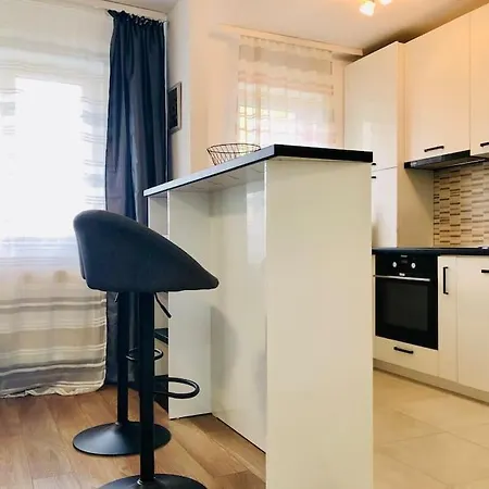 Joy Stefan Baciu 9 Apartment