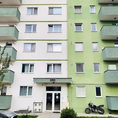 Joy Stefan Baciu 9 Brasov